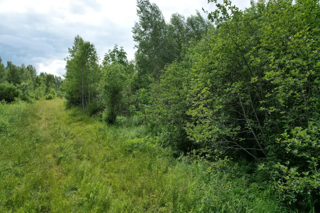 Picture 9
