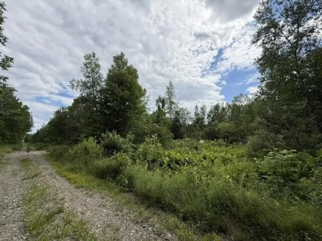 Picture 33