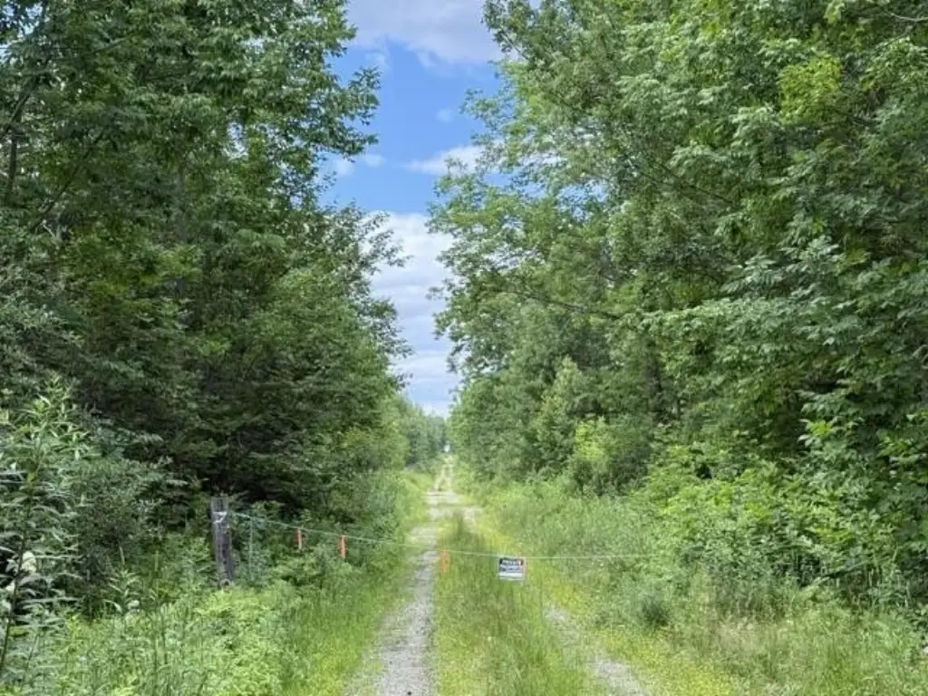 Picture 48