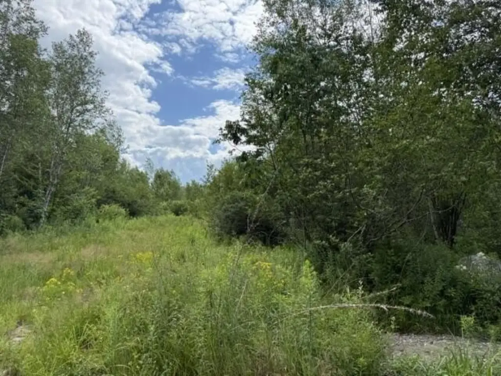 Picture 28