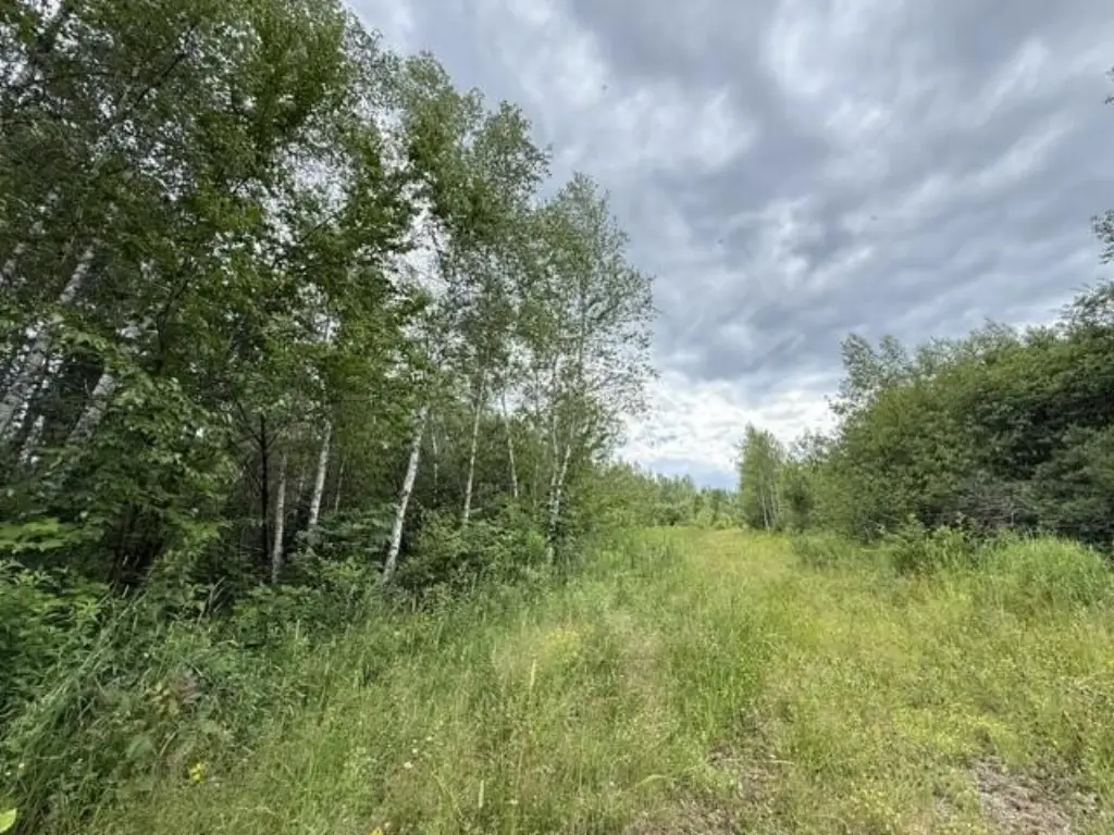 Picture 21