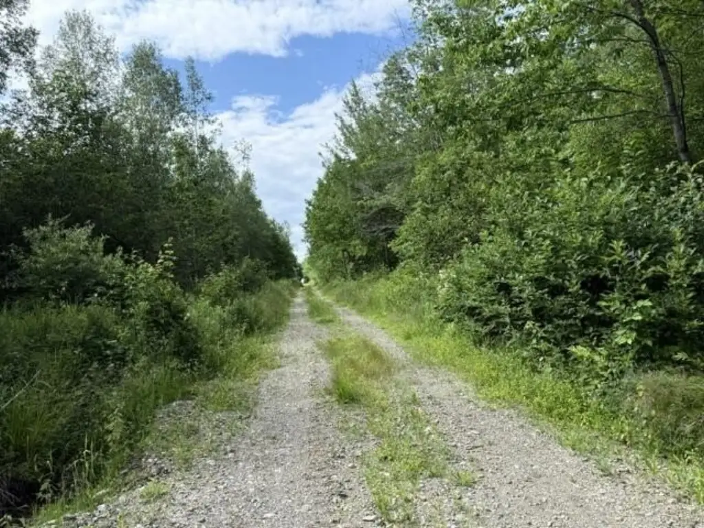 Picture 18