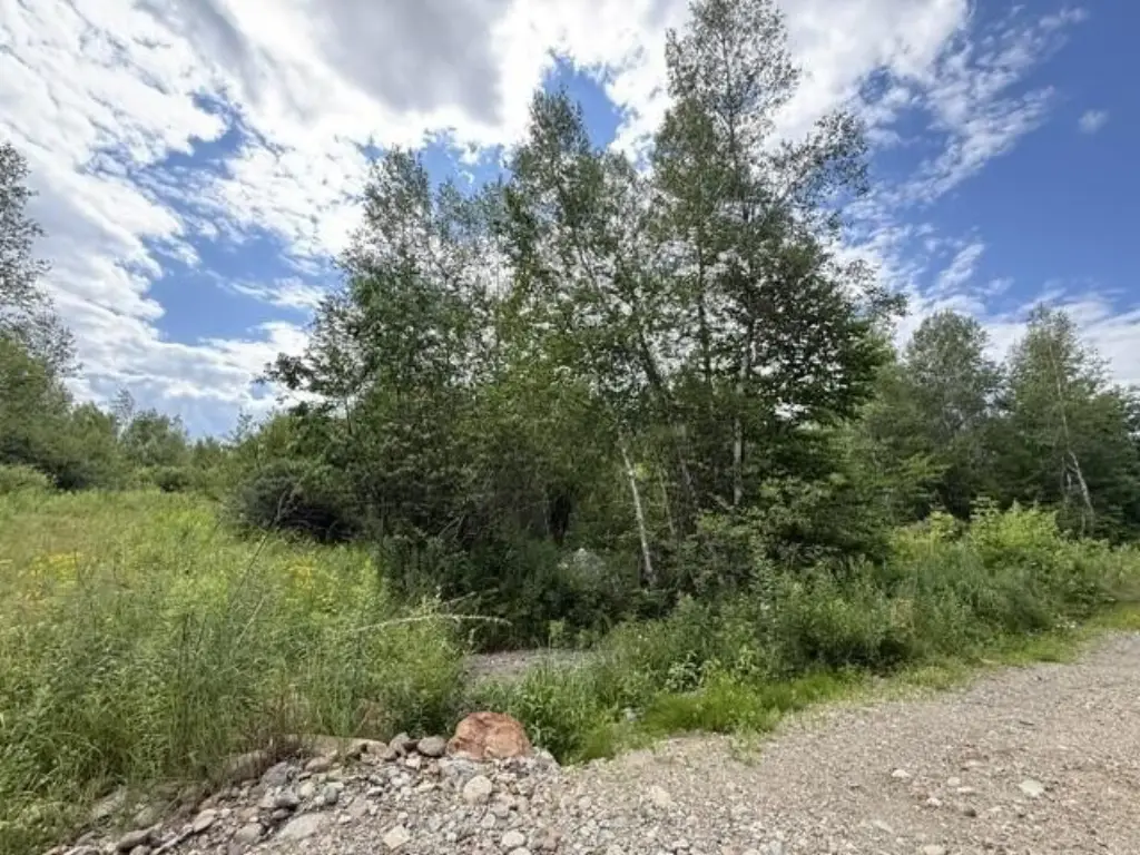 Picture 31
