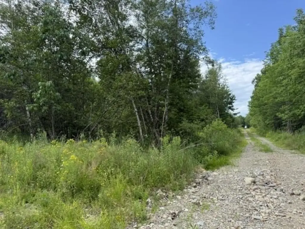 Picture 30