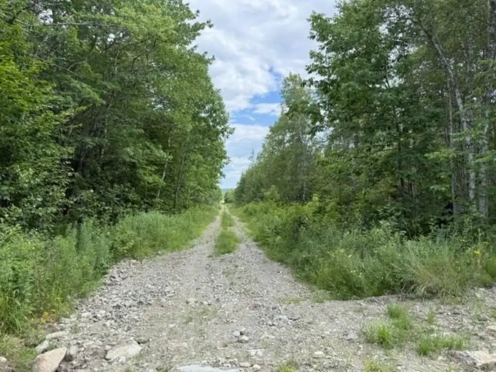 Picture 25