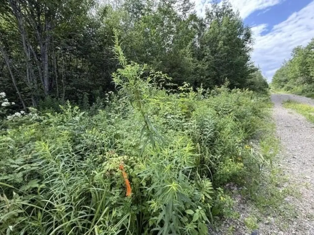 Picture 20