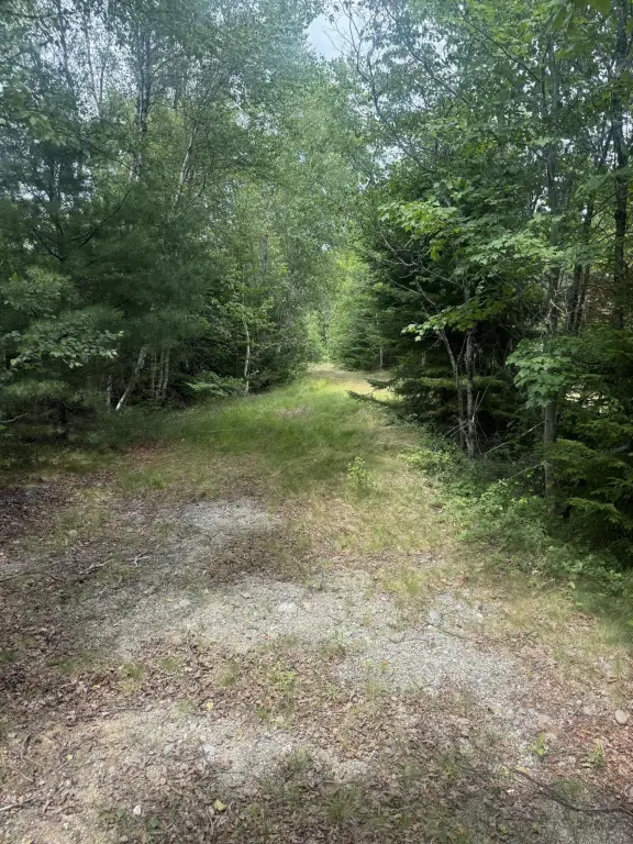 Picture 11