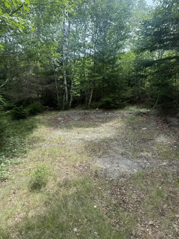 Picture 7