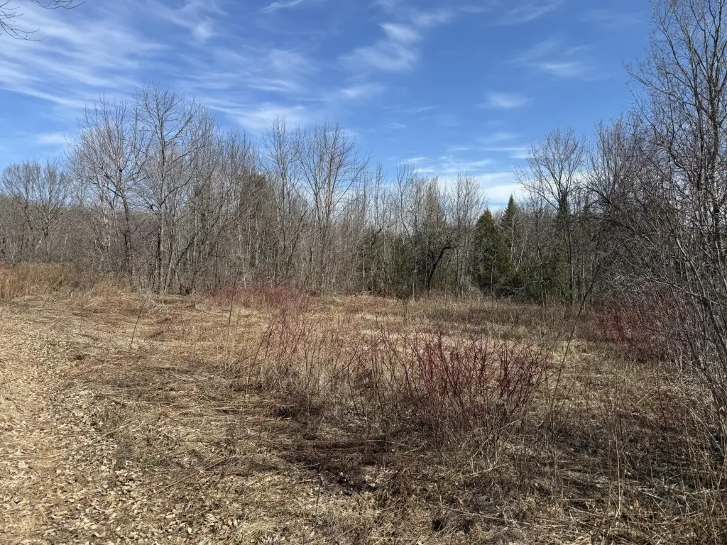 Picture 19