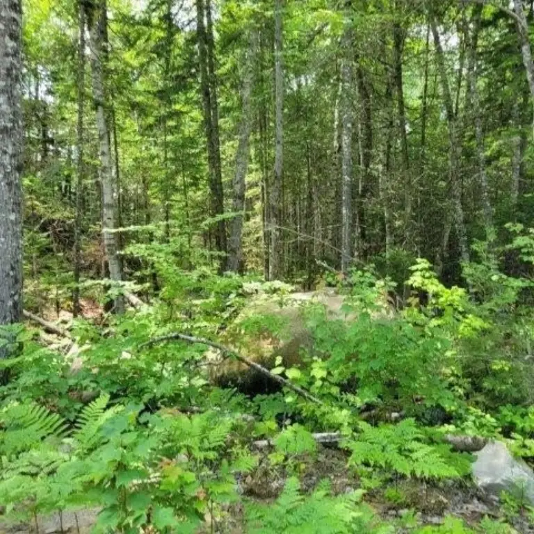 Picture 30