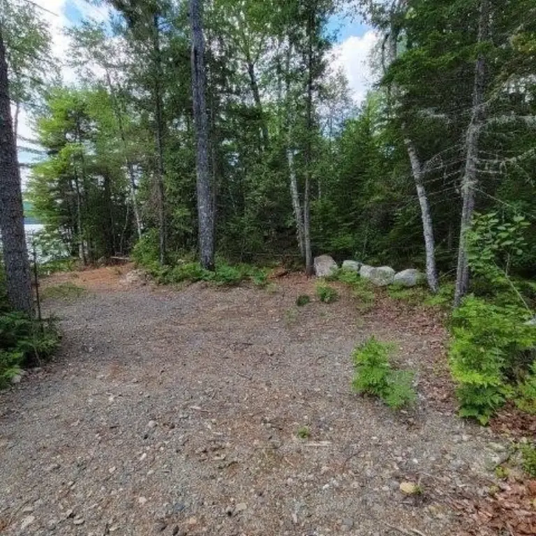 Picture 21