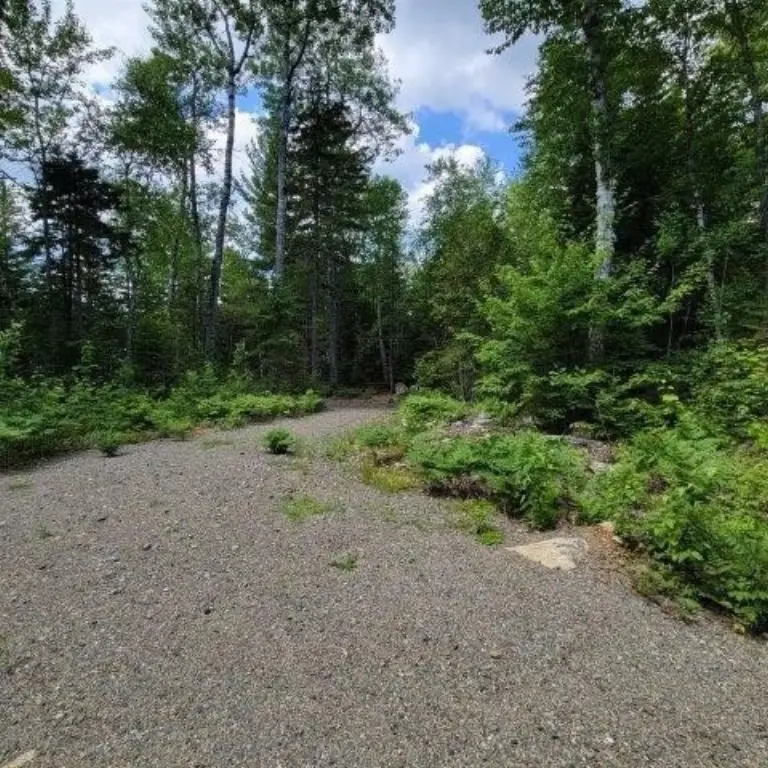 Picture 20