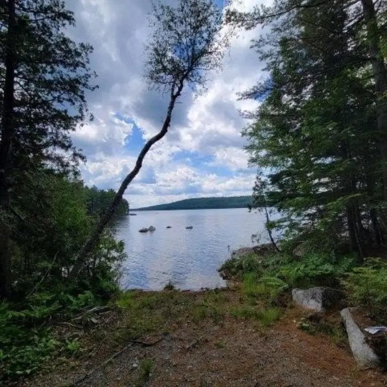 Picture 23