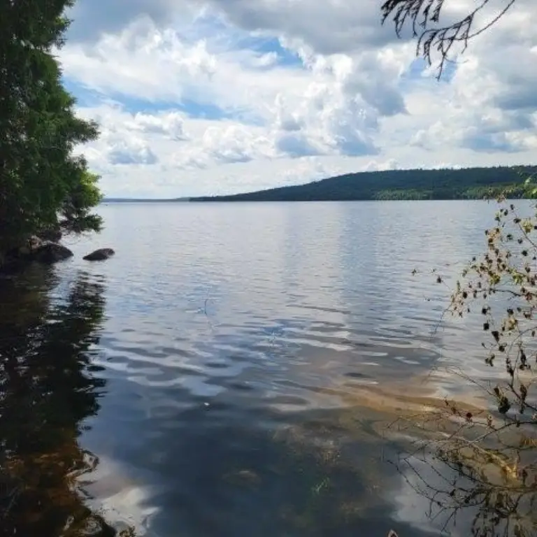 Picture 14