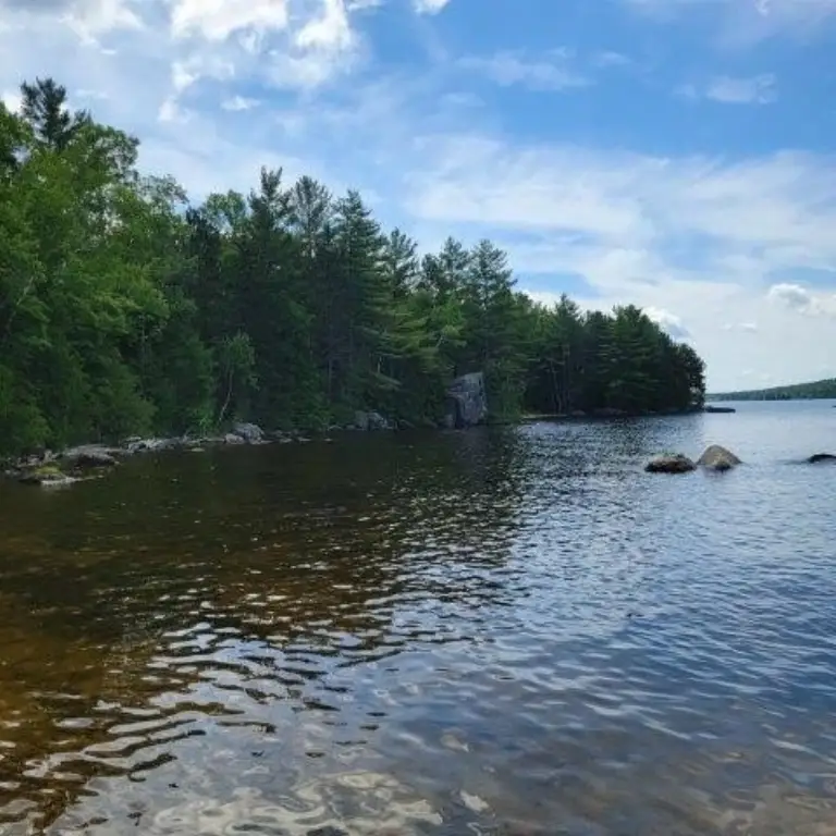 Picture 8