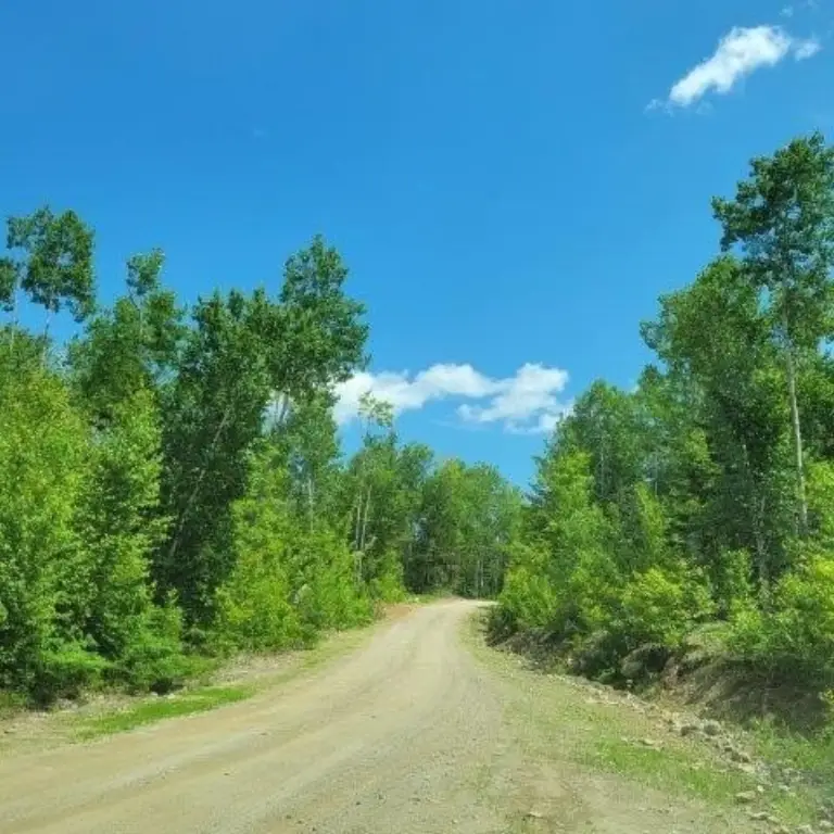 Picture 33