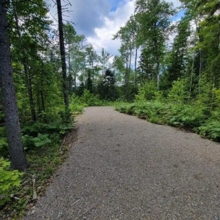 Picture 19