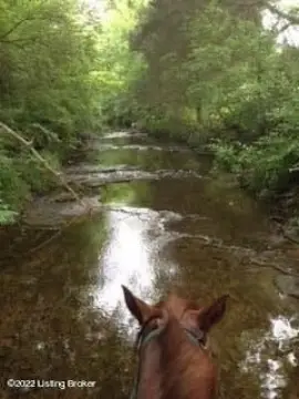 Prime Acreage in Louisville, KY