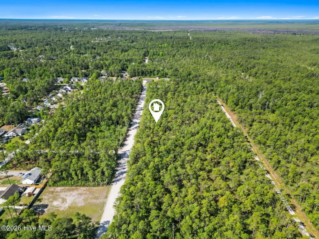 Picture 8