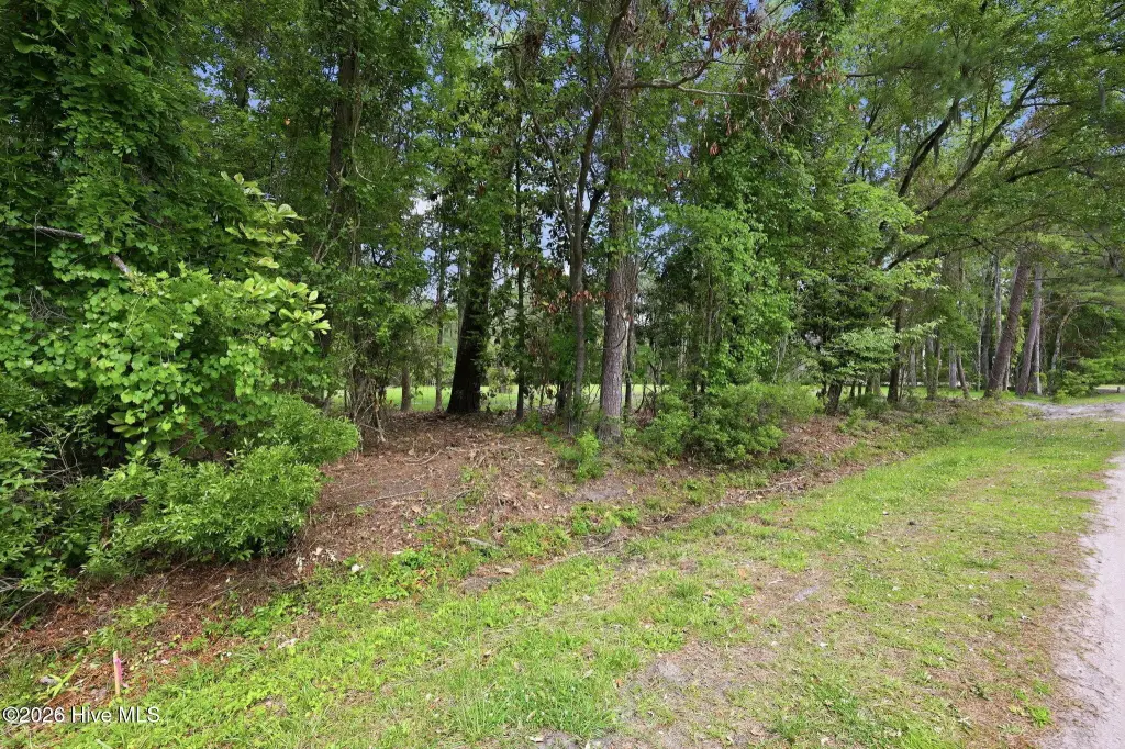 Picture 3