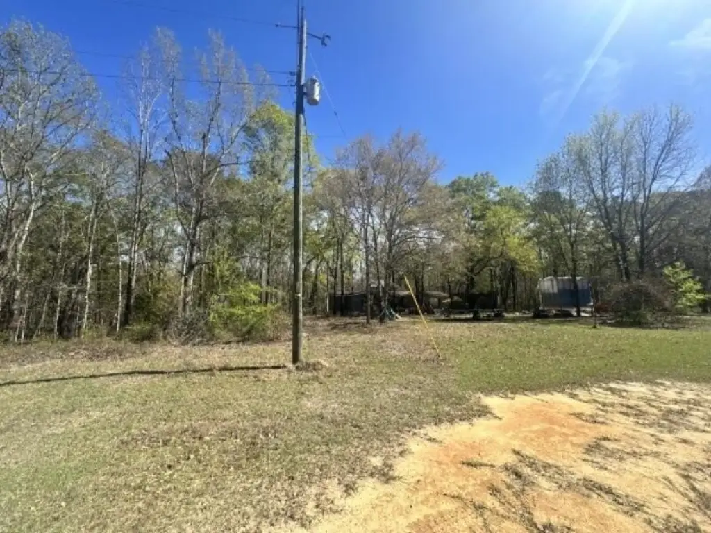 Picture 6