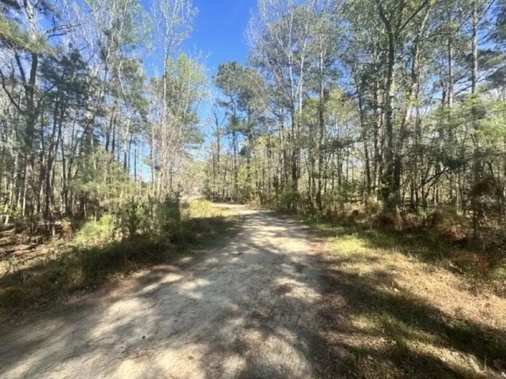 Picture 7