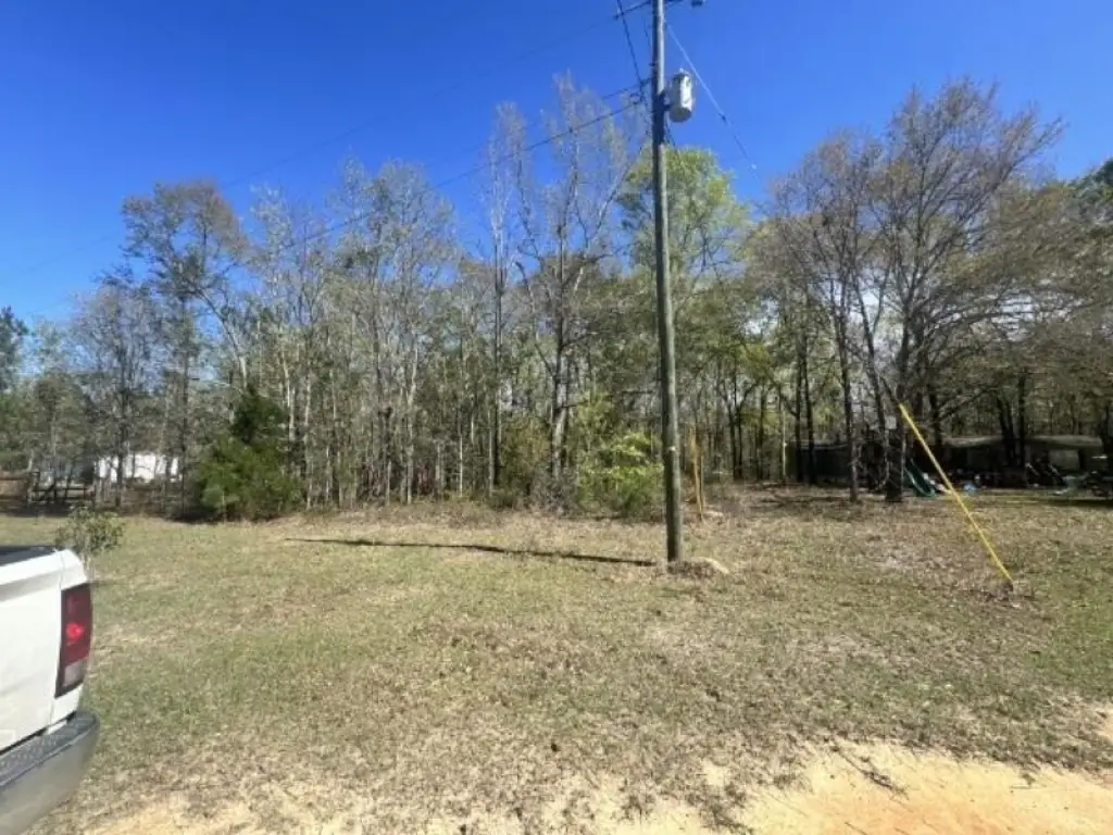 Picture 5