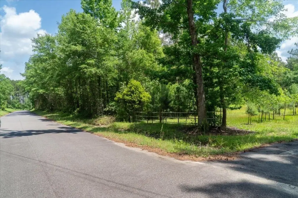 Picture 14