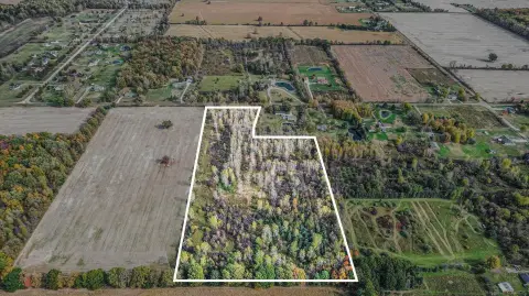 Almont Vacant Land with Pond