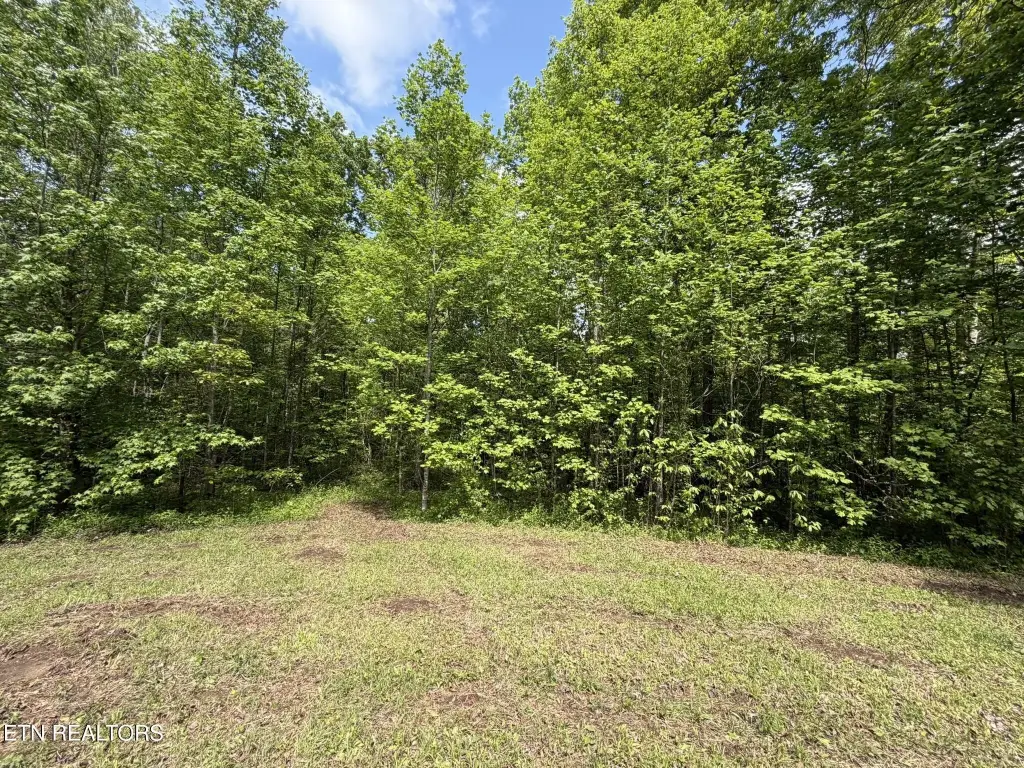 Picture 21