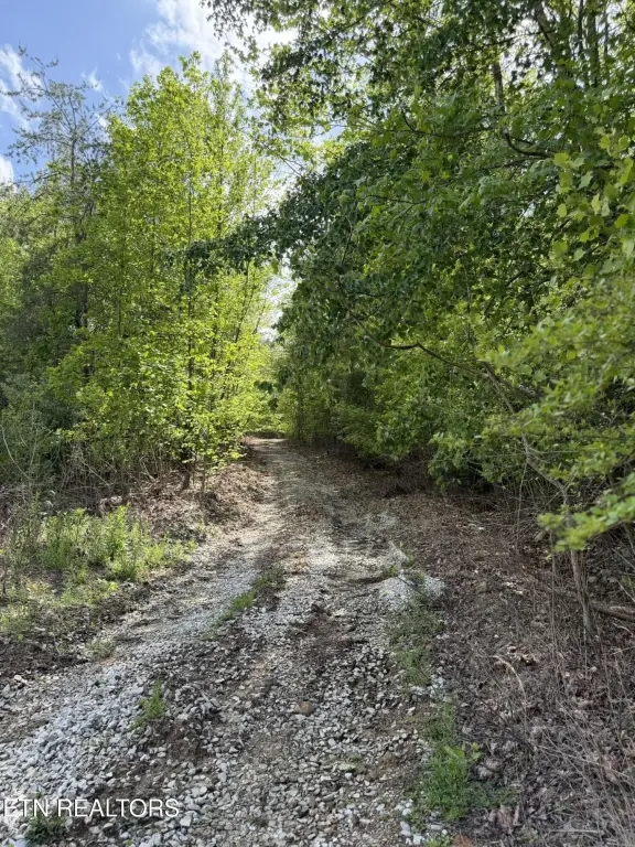 Picture 33