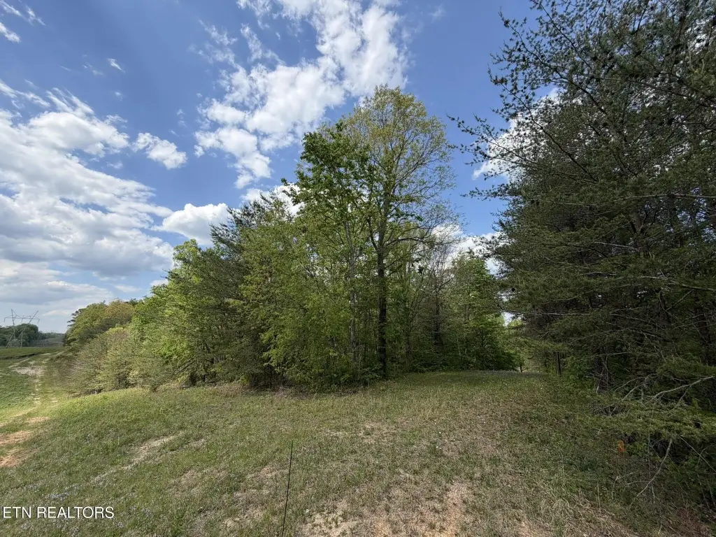 Picture 10