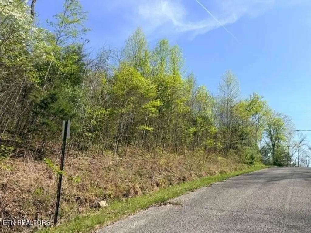 Picture 19