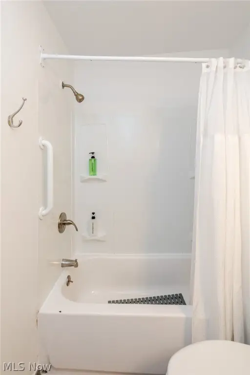 Picture 13