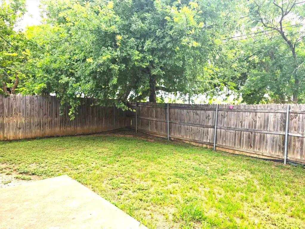Picture 20