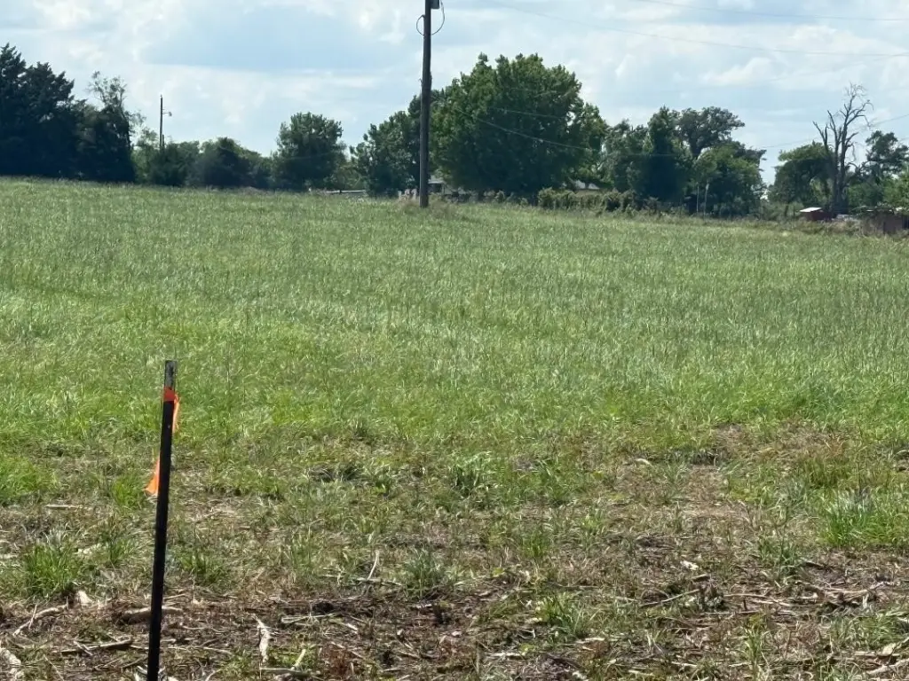 Picture 5