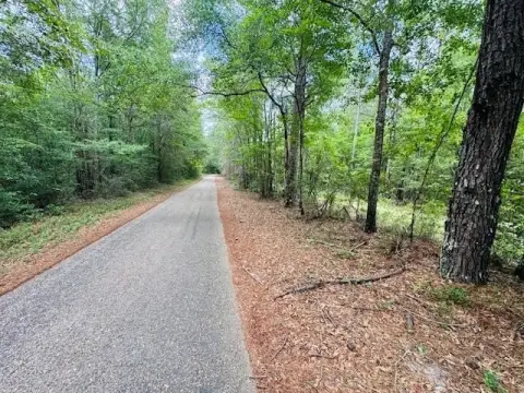 Secluded 45.9 Acres in Tylertown
