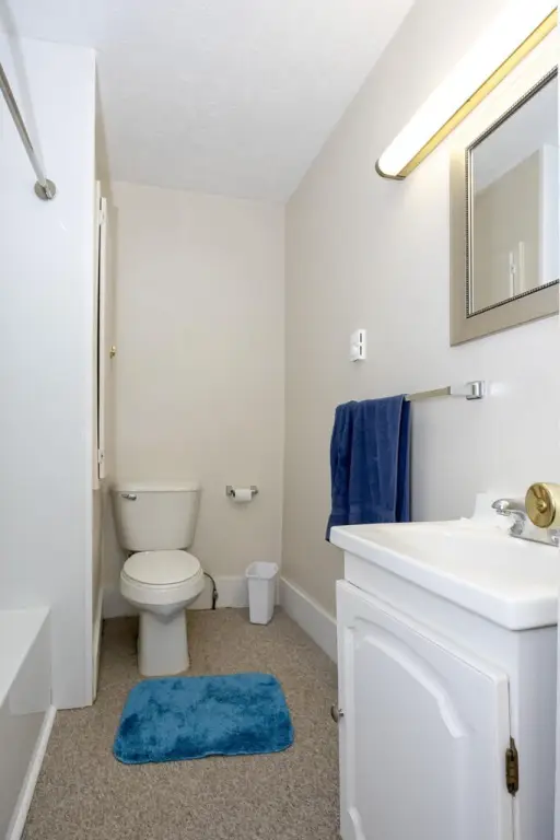 Picture 22