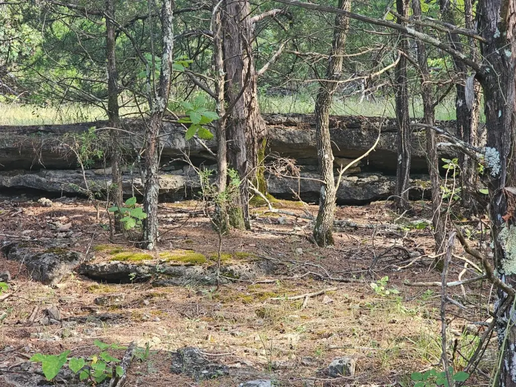 Picture 22