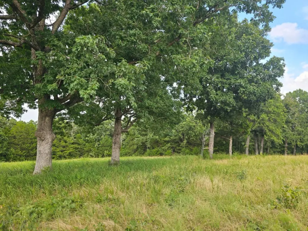 Picture 14