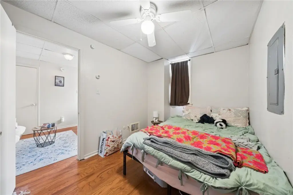 Picture 17