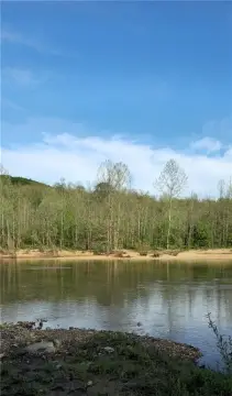 81.47 Acres in Boone County