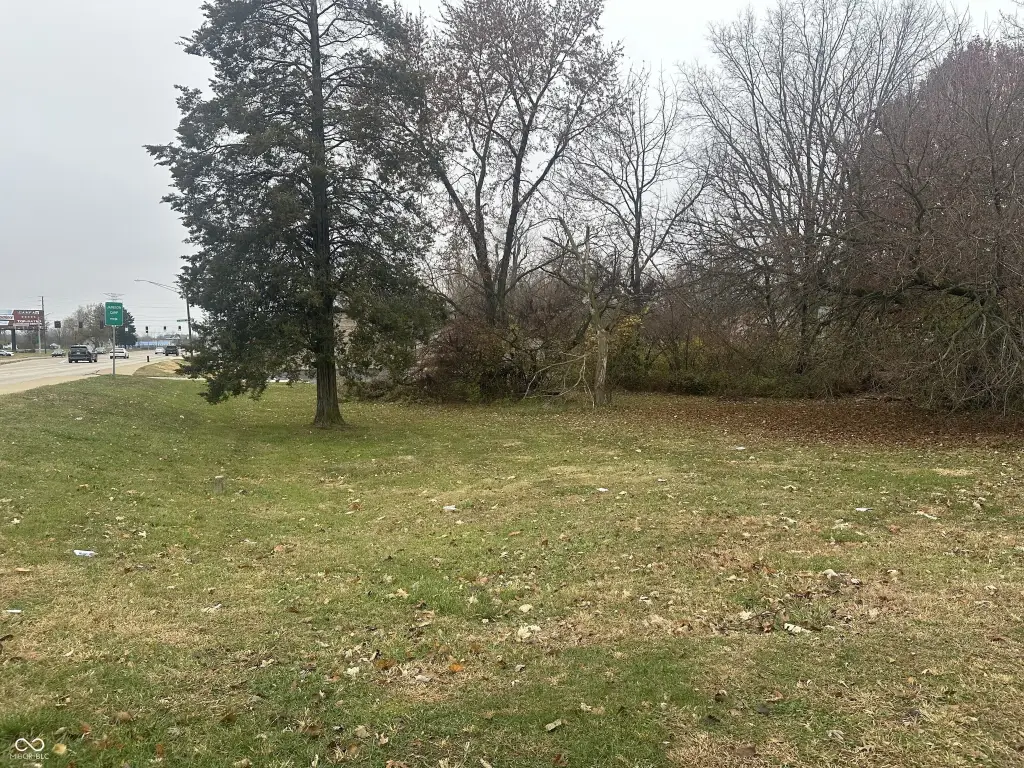 Picture 5