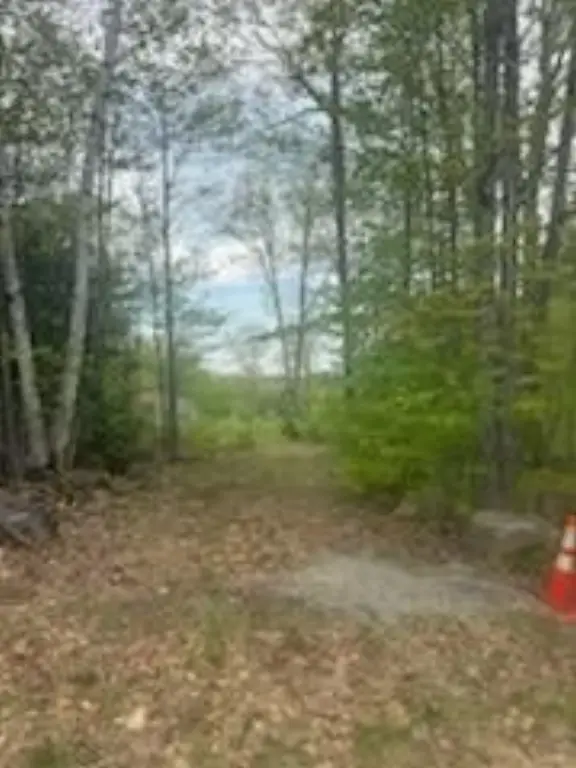 Picture 3