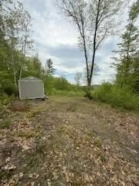 Picture 9