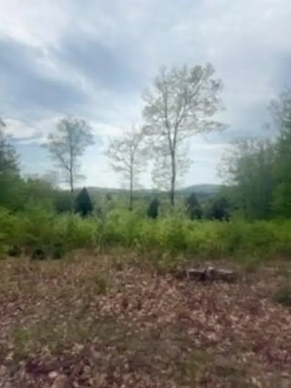 Picture 14