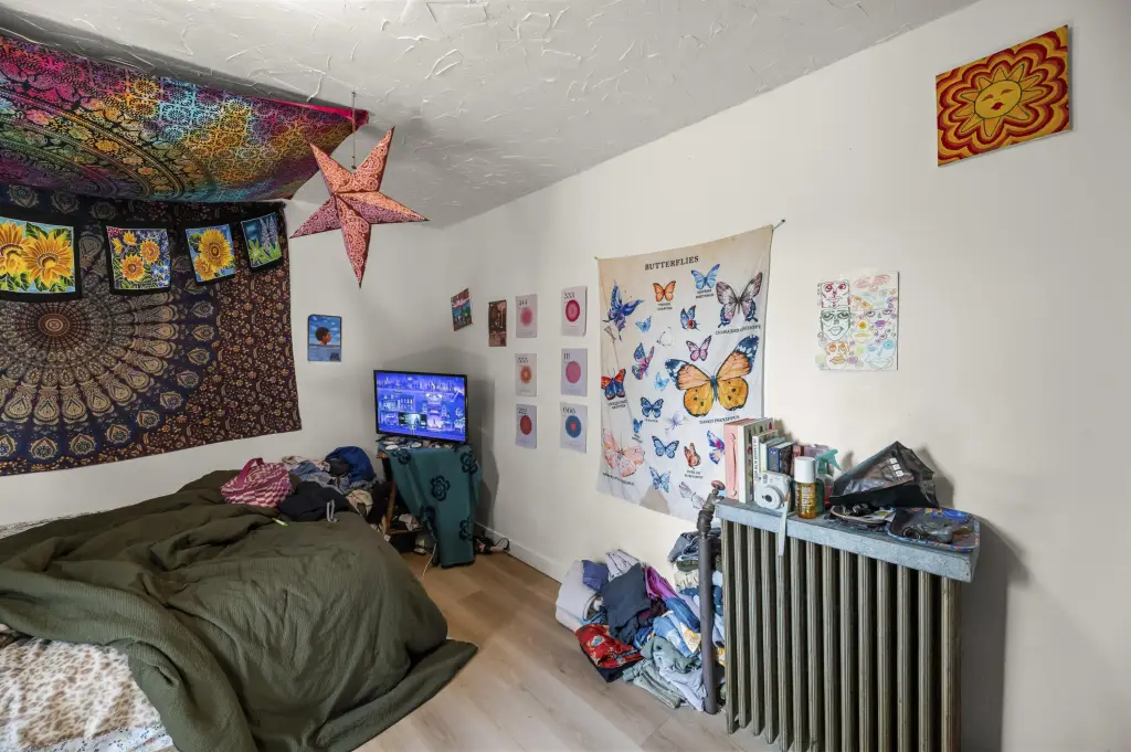 Picture 11
