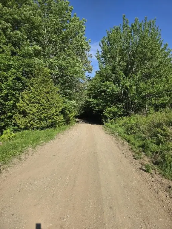 Picture 10