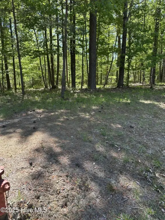 Picture 4