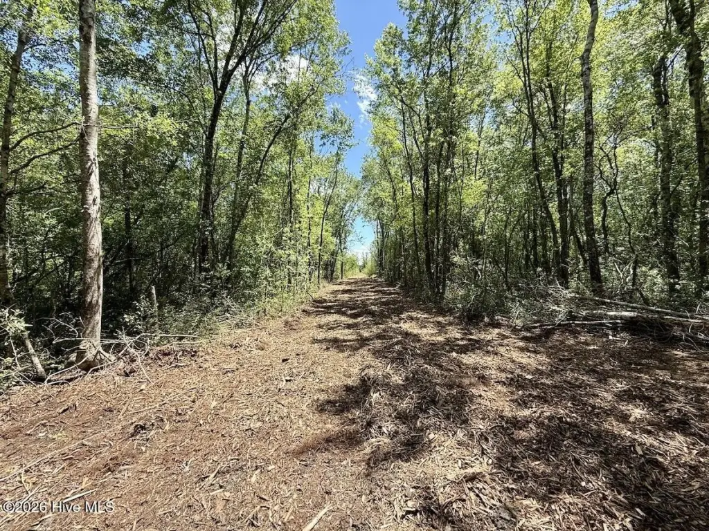 Picture 27